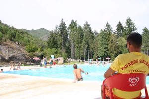 Read more about the article Bioparque de volta | reabertura a 29 de maio