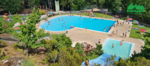 Read more about the article Bioparque de volta | reabertura 2026